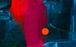 Color mixing