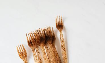 Biodegradable bioplastics