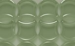 Bioplastic electronics