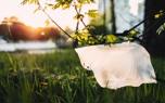 Plastic bag for shopping