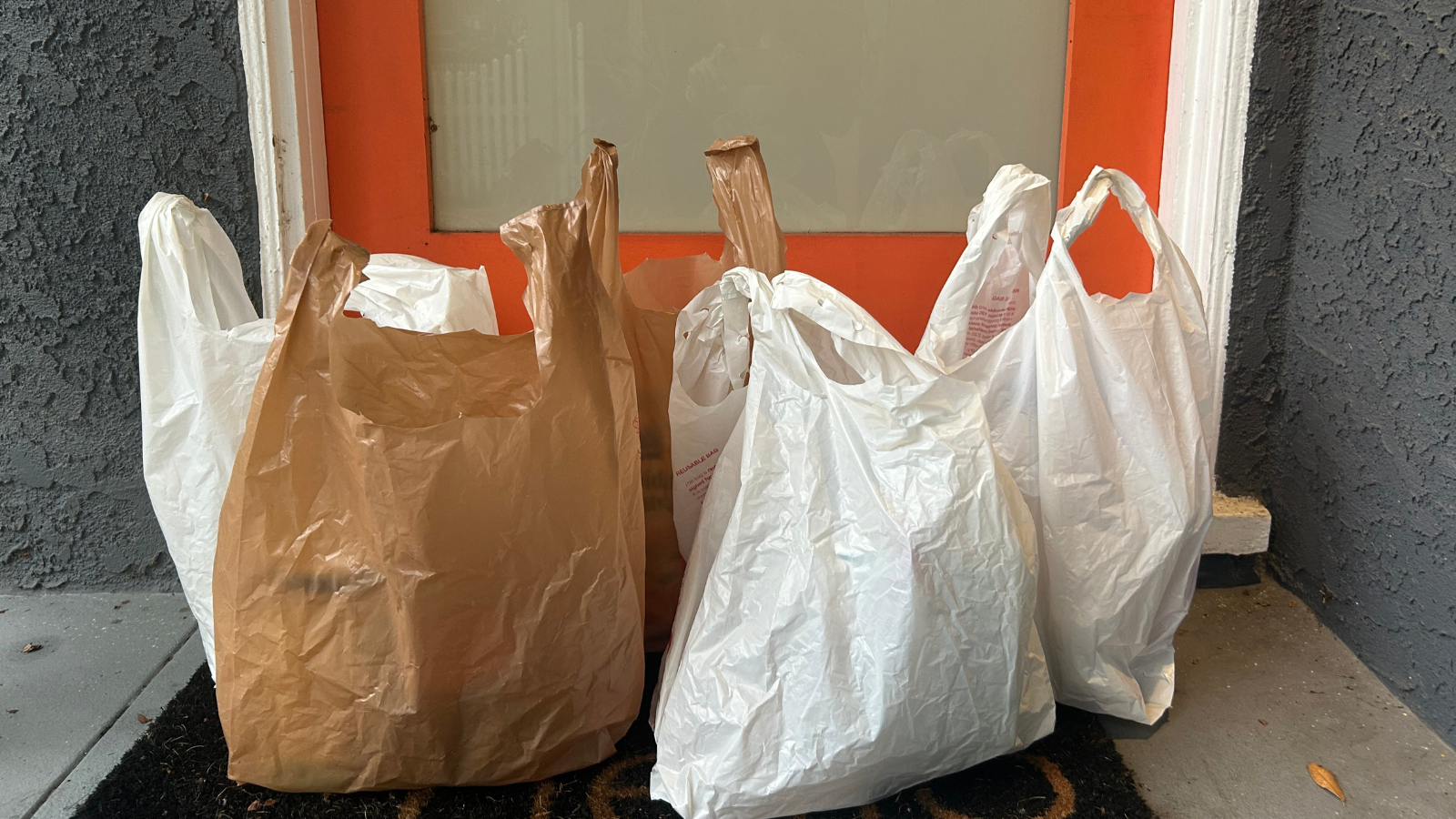 Bag
