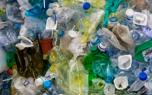 Household Cleaner Bottles