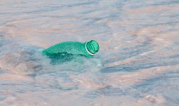 Marine life affected by plastic