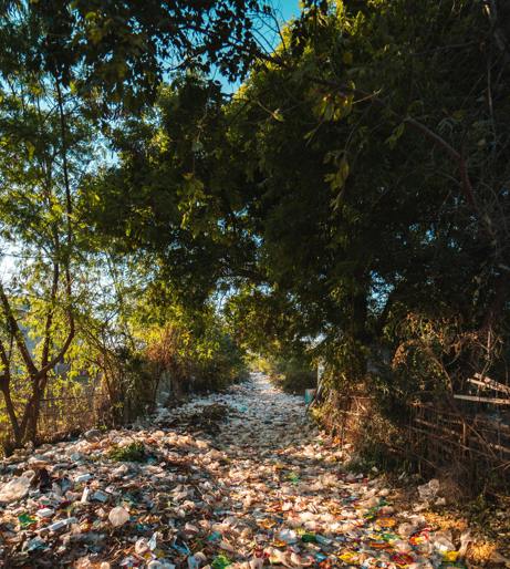 Plastic pollution overview