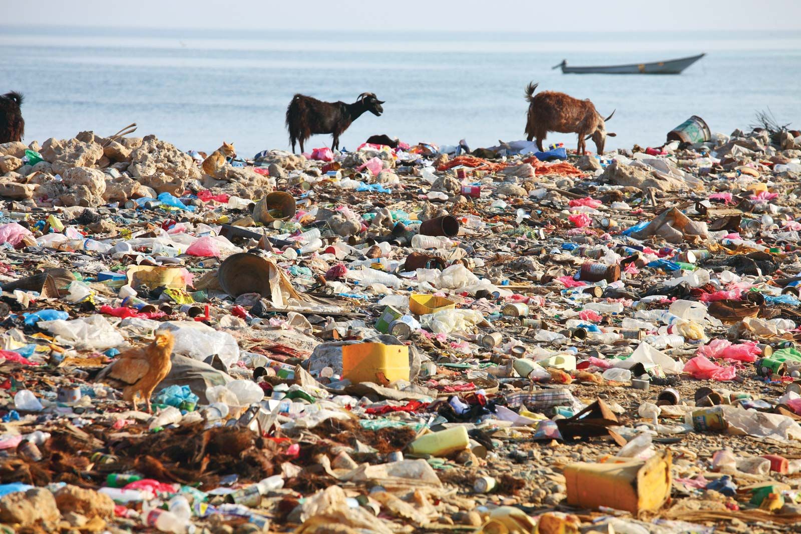 Pollution