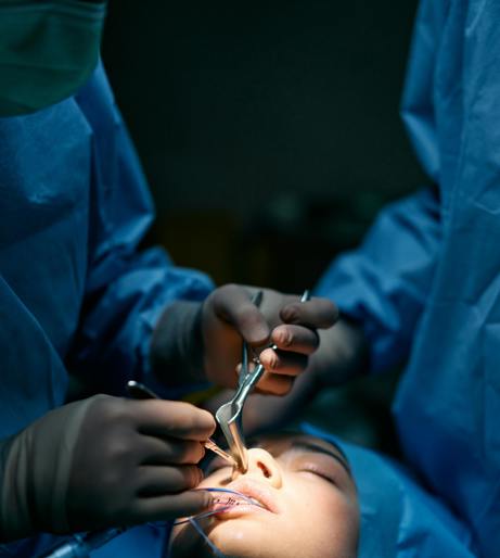 Plastic Surgeon overview