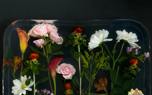 Resin wall art