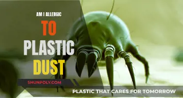 Plastic Dust Allergies: Am I at Risk?