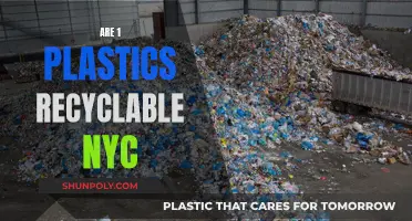 Unraveling the Mystery: Can Plastic Number 1 Be Recycled in NYC?