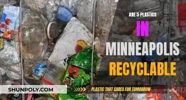 Unraveling Minneapolis's Plastic Recycling Mystery: 5 Key Insights