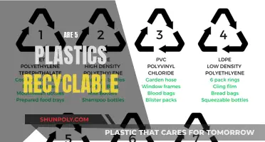 Unraveling the Recycling Mystery: 5 Plastics and Their Fate