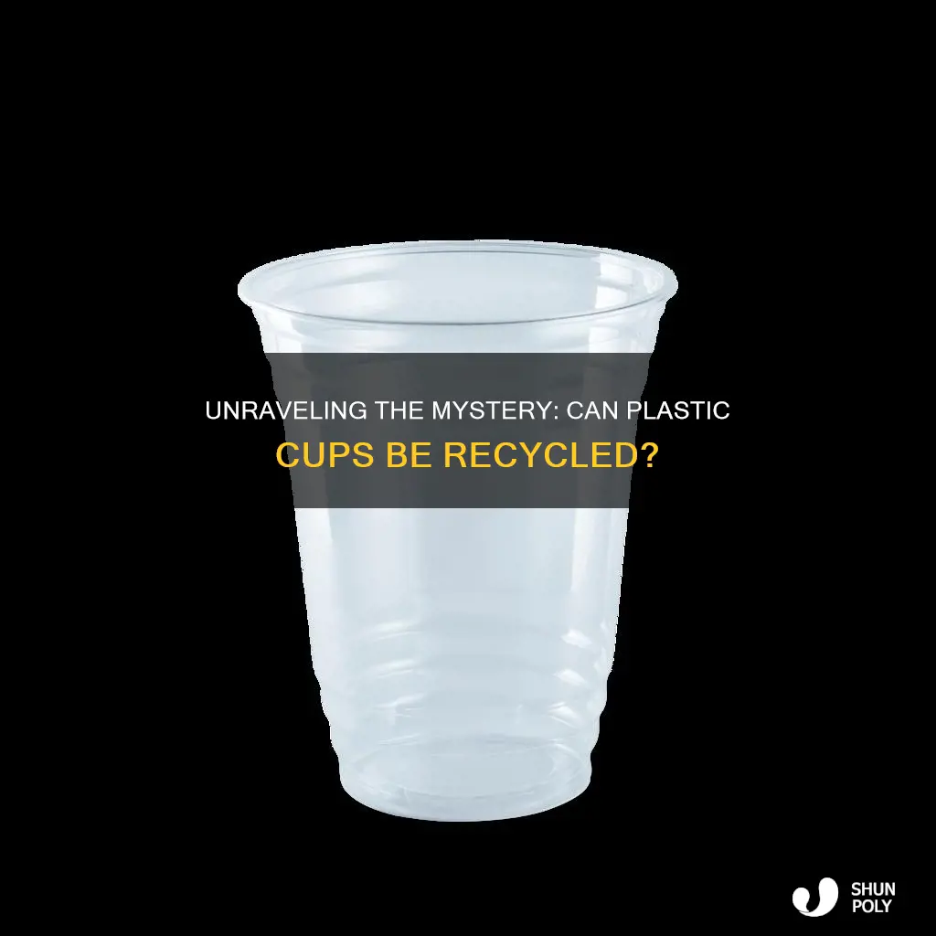 are 6 plastic cups recyclable