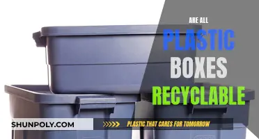 Unraveling the Mystery: Can All Plastic Boxes Be Recycled?