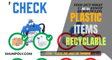 Unraveling the Recycling Mystery: Can All Plastic Items Be Recycled?