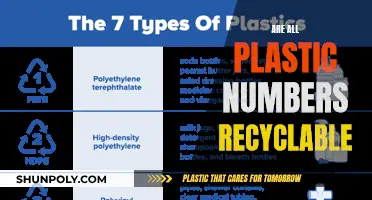 Unraveling the Mystery: Can All Plastic Numbers Be Recycled?