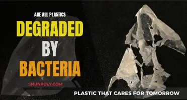 Bacteria's Role in Plastic Degradation: What Plastics Are Affected?