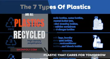 The Surprising Truth: Not All Plastics Are Recycled