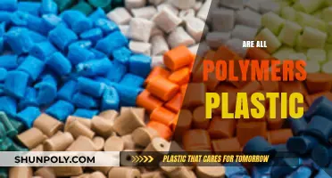 Unraveling the Mystery: Not All Polymers Are Plastics