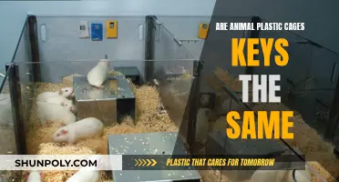 Animal Plastic Cages: Are Keys Universal?
