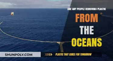 Ocean Cleanup Efforts: Who's Removing Plastic from Our Seas?