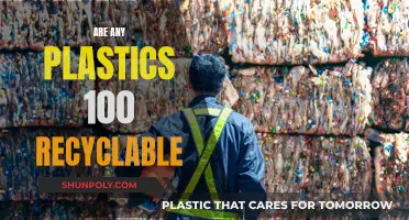 Unraveling the Mystery: Can All Plastics Be Recycled?