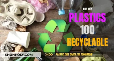 The Plastic Recycling Myth: Are Any Plastics Truly Recyclable?