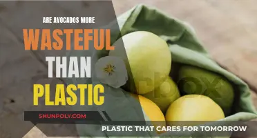 Avocados: More Wasteful Than Plastic?