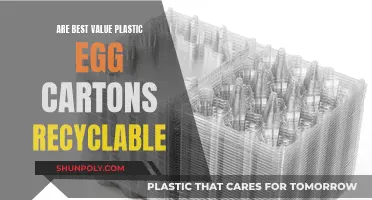 Unraveling the Mystery: Can Plastic Egg Cartons Be Recycled?