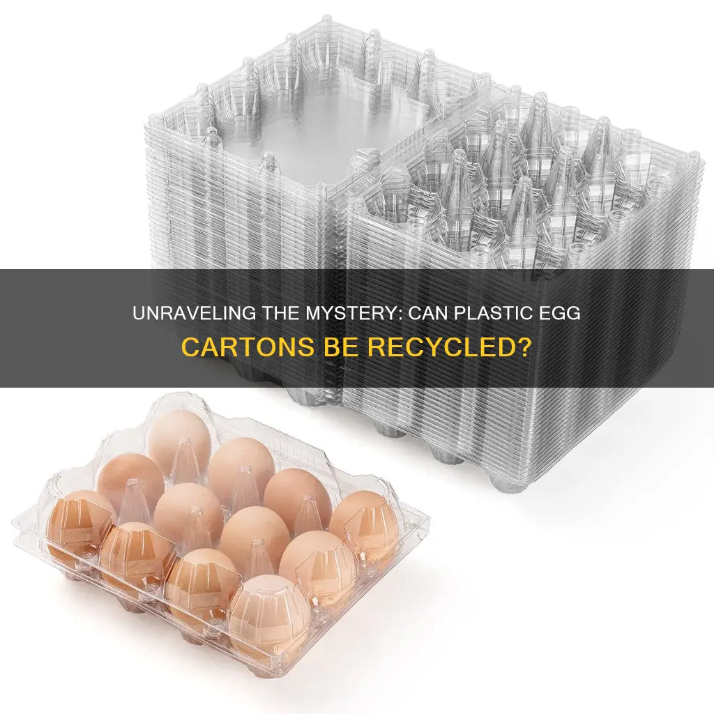 are best value plastic egg cartons recyclable