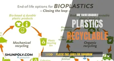 Unraveling the Mystery: Can Biodegradable Plastics Be Recycled?