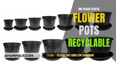 Black Plastic Flower Pots: Can They Be Recycled?