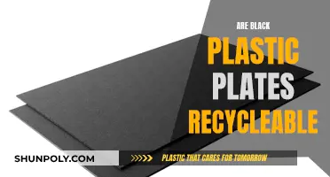 Black Plastic Plates: Are They Recycleable? Discover the Truth!