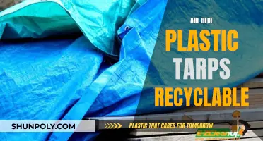 Blue Plastic Tarps: Unraveling the Recycling Mystery