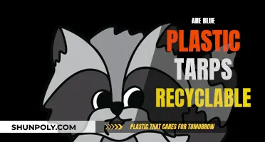 How Blue Plastic Tarps Can Be Recycled?