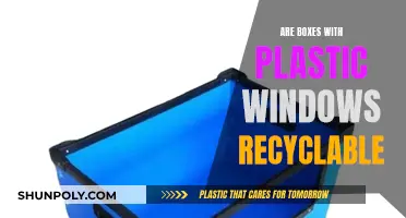 Can Plastic-Windowed Boxes Be Recycled? Unraveling the Mystery