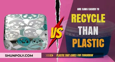 Decoding Recyclability: The Truth About Cans vs. Plastic