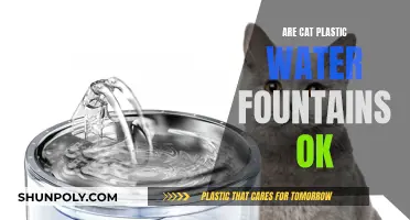 Plastic Water Fountains for Cats: Safe or Not?