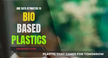Cats' Attraction to Bio-Based Plastics: Unveiling the Mystery