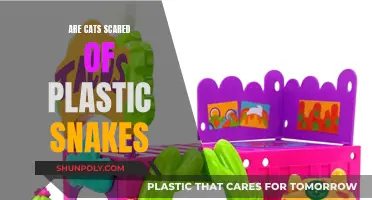 Plastic Snakes: A Feline Fear Factor?