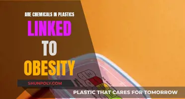Plastics and Obesity: Are Chemicals the Missing Link?