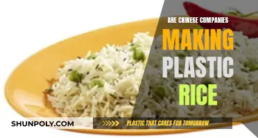 Plastic Rice: Chinese Companies' Unscrupulous Business Practices