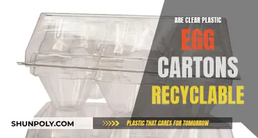 Unraveling the Mystery: Can Clear Plastic Egg Cartons Be Recycled?