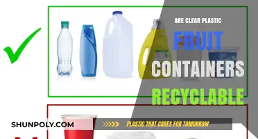 Are Clear Plastic Fruit Containers Recyclable? A Comprehensive Guide