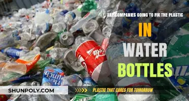 Can Companies Solve the Plastic Water Bottle Pollution Crisis?