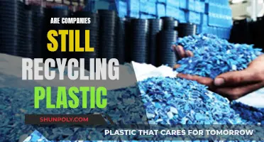 Plastic Recycling: The Current State of Affairs