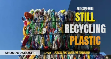 The Plastic Recycling Promise: Are Companies Keeping It?