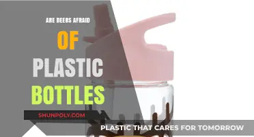 Do Plastic Bottles Scare Deer? Uncovering the Truth Behind the Myth