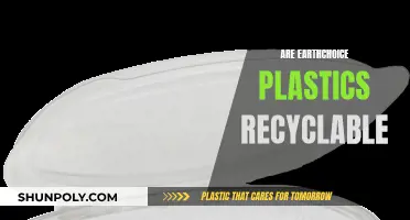 EarthChoice Plastics: Unraveling the Recycling Mystery