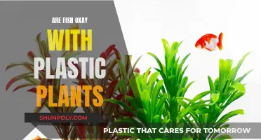Plastic Plants: Safe or Unsafe for Fish?
