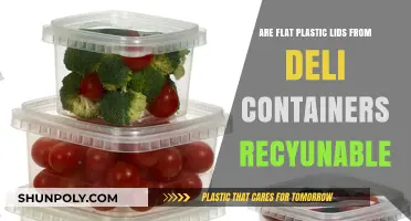 Are Plastic Deli Container Lids Recyclable?